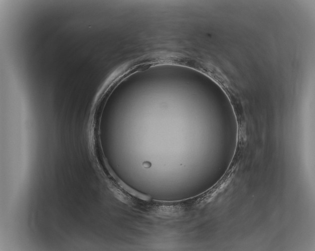X0000110680101200906121214