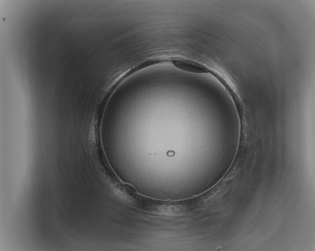 X0000110680105200906121214