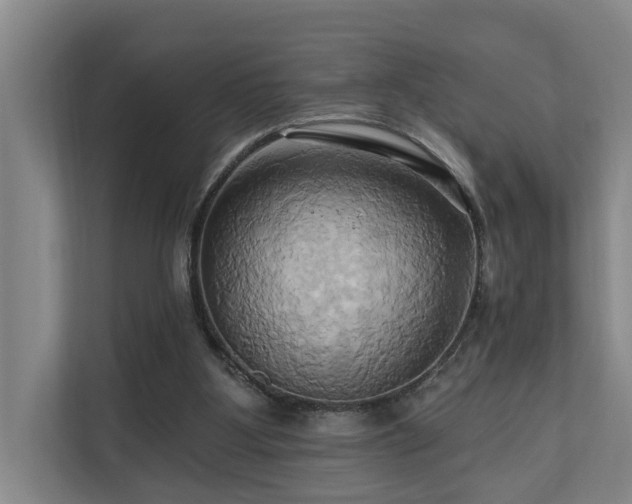 X0000110680107200906121214