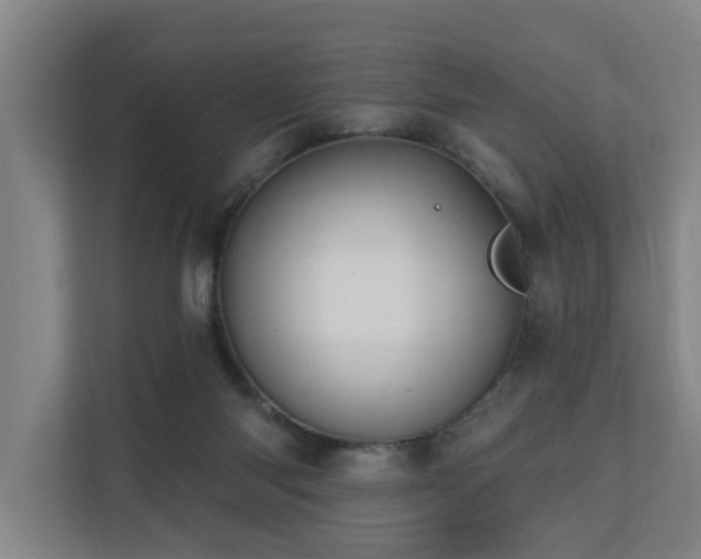 X0000110680118200906121214