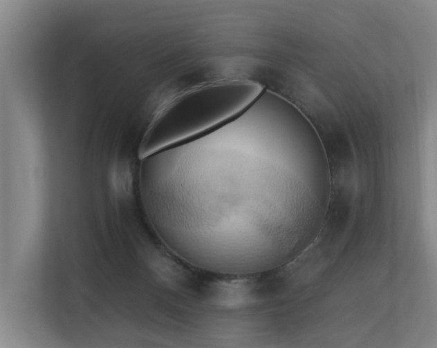 X0000110680120200906121214