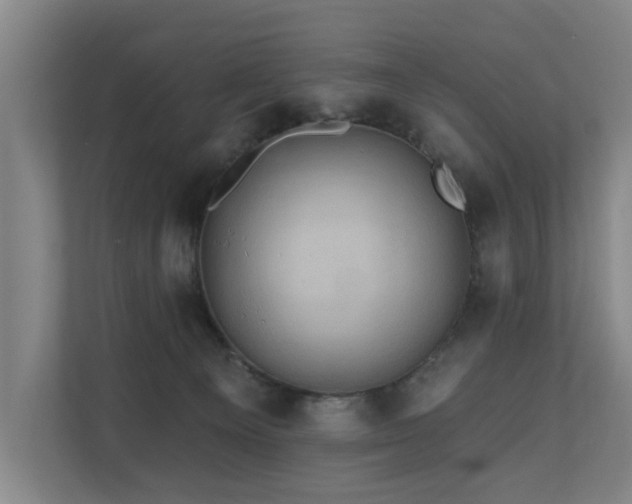 X0000110680129200906121213