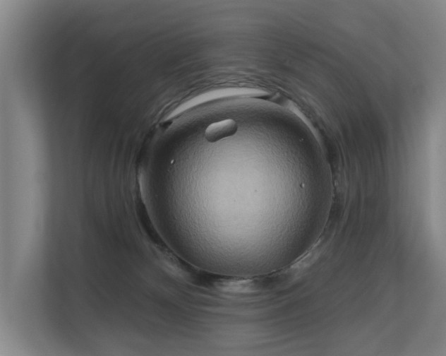 X0000110680132200906121213