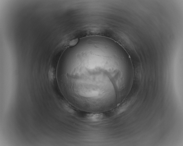 X0000110680135200906121213