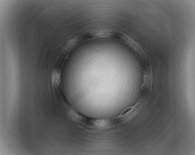 X0000110680142200906121213