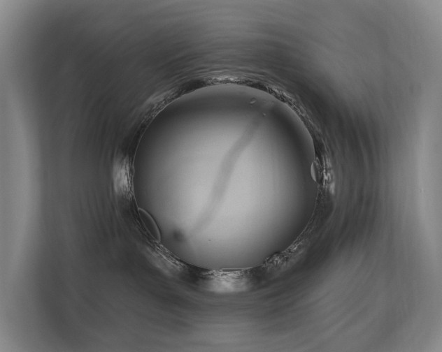 X0000110680143200906121213