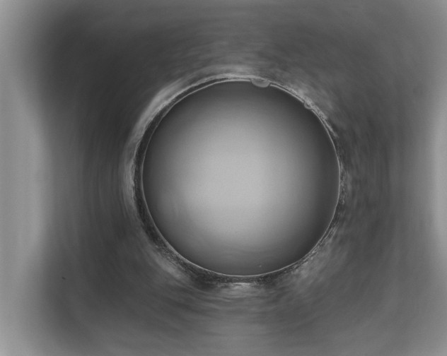 X0000110680151200906121213