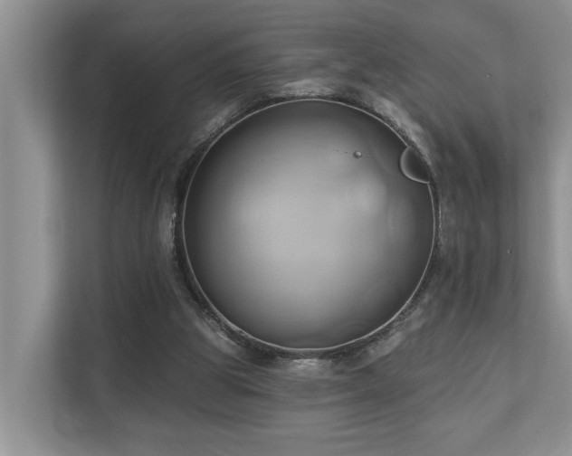 X0000110680153200906121213