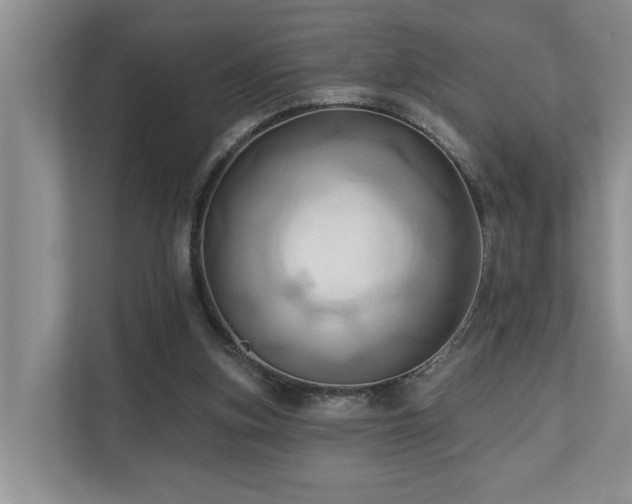X0000110680155200906121213