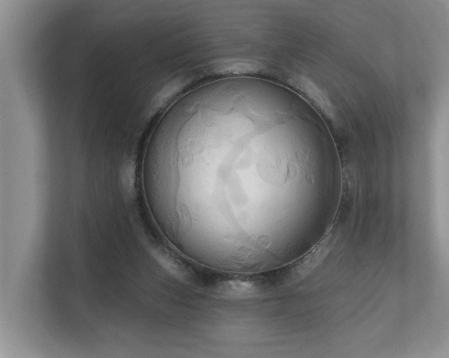 X0000110680159200906121213