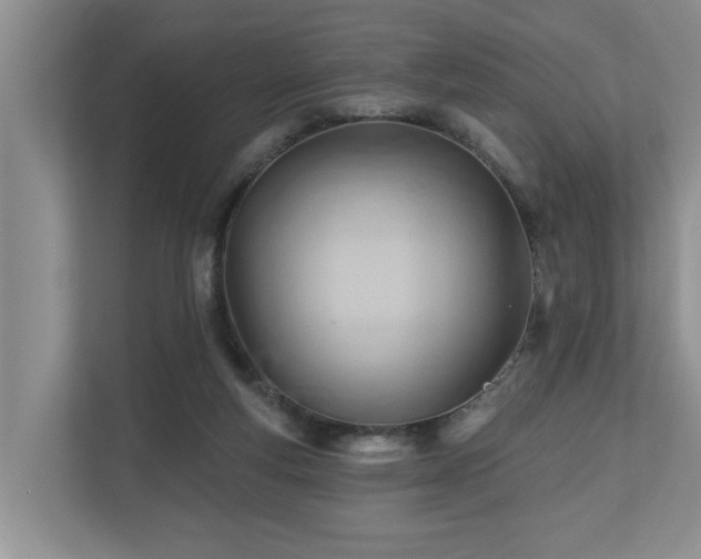 X0000110680163200906121213