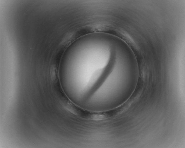 X0000110680169200906121213