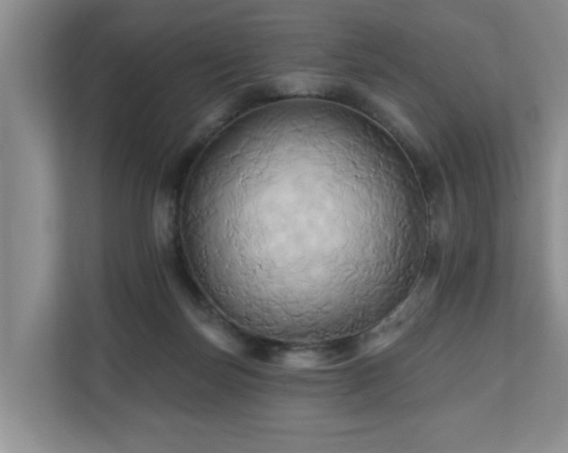 X0000110680171200906121213