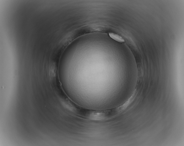 X0000110680174200906121213