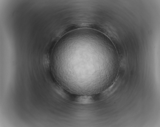 X0000110680179200906121213
