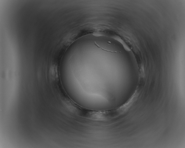 X0000110680182200906121213