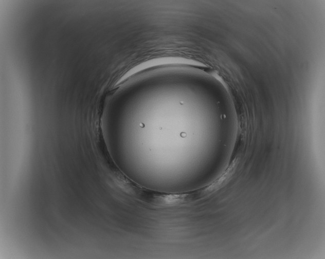 X0000110680184200906121213