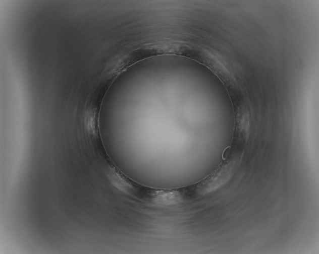 X0000110680185200906121213