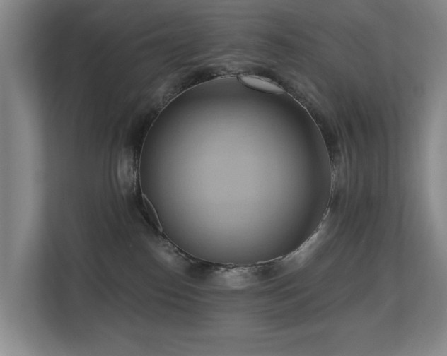 X0000110680186200906121213