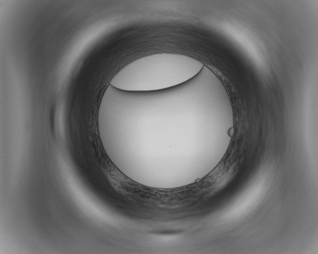 X0000110680189200906121213
