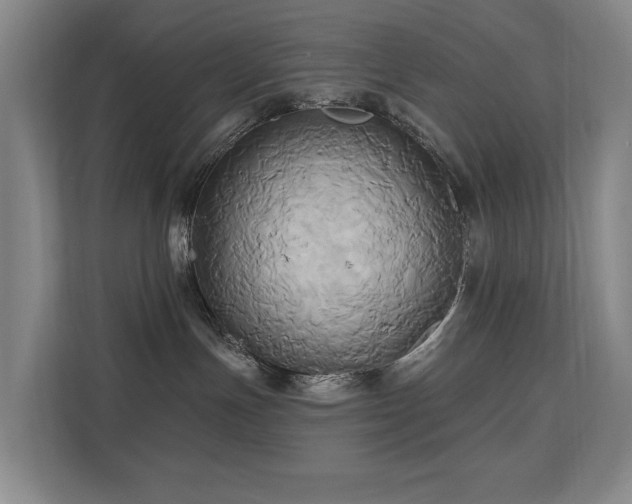 X0000110680191200906121213