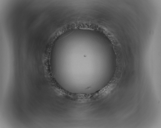X0000110680192200906121213