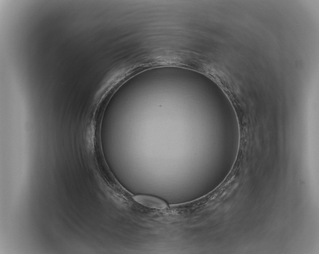 X0000110680194200906121213