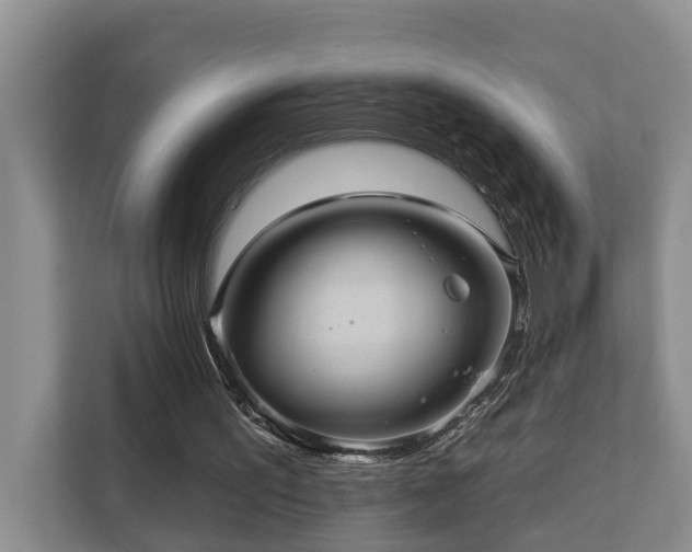X0000110680195200906121213