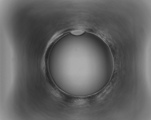 X0000110680198200906121213