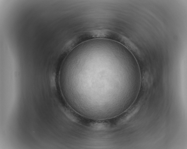 X0000110680209200906121212