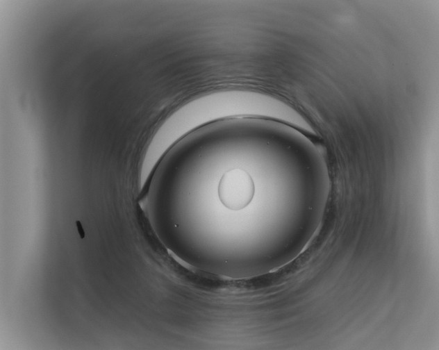 X0000110680211200906121212