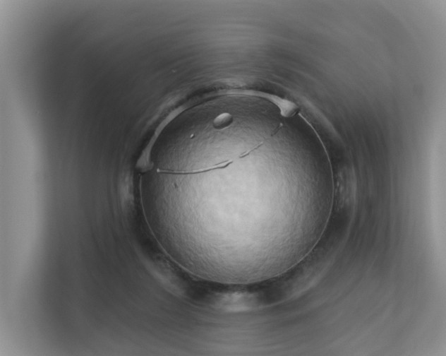 X0000110680212200906121212