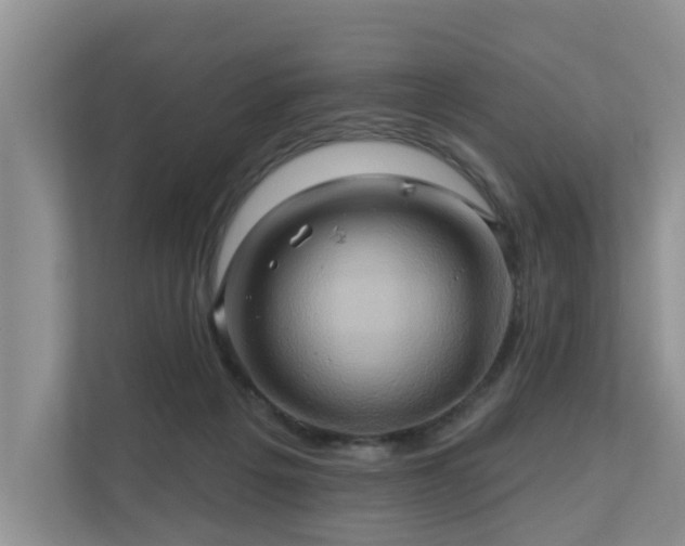 X0000110680217200906121212