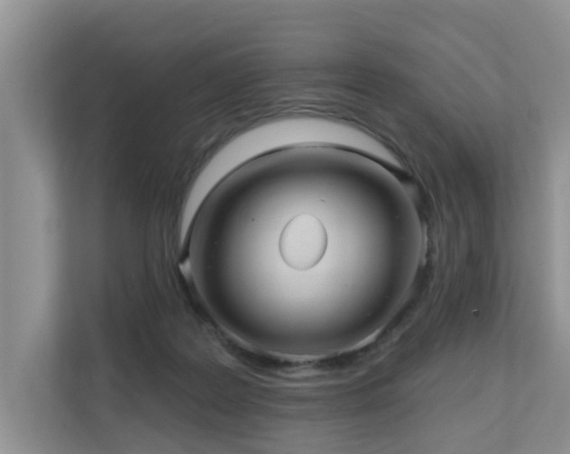 X0000110680219200906121212
