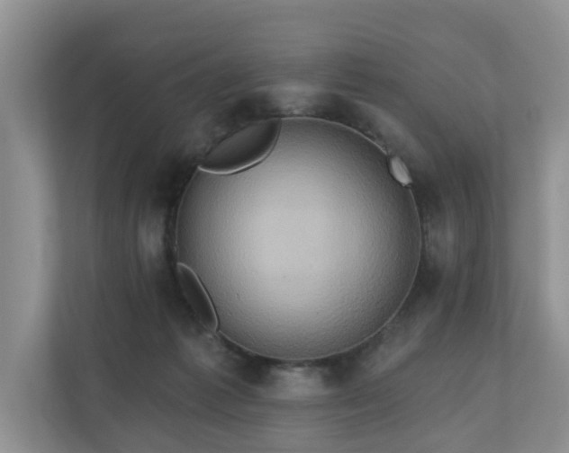 X0000110680221200906121212