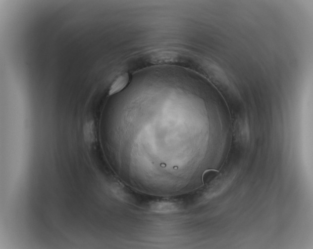 X0000110680224200906121212
