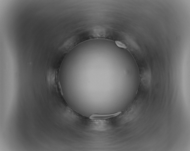 X0000110680233200906121212