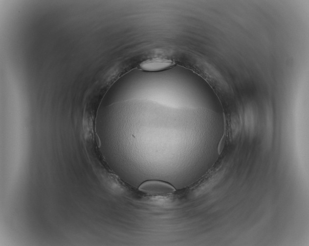 X0000110680236200906121212