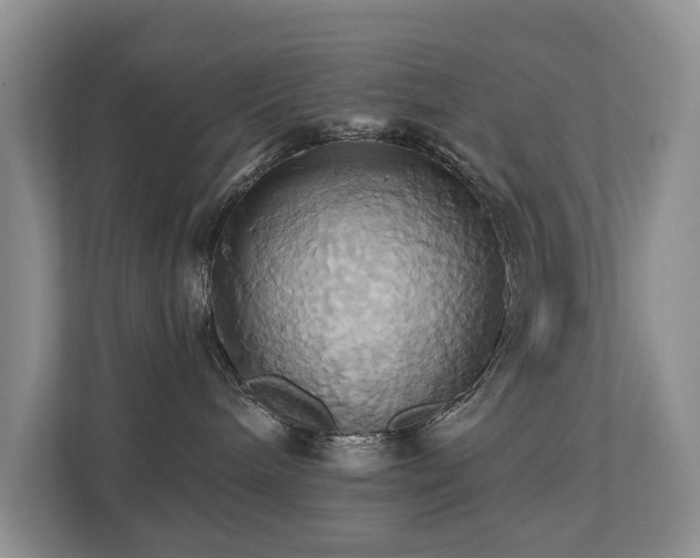 X0000110680240200906121212