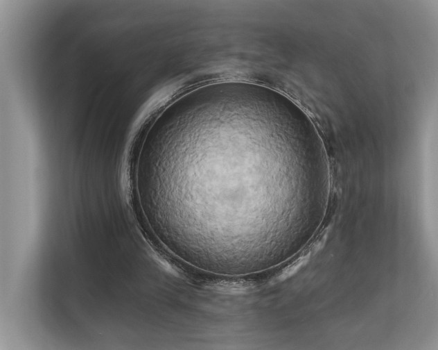 X0000110680245200906121211