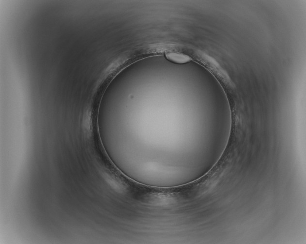 X0000110680250200906121211