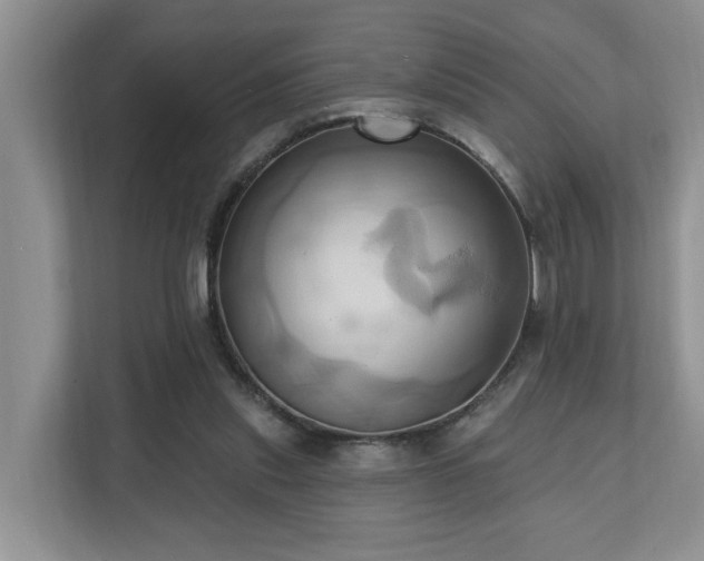 X0000110680253200906121212