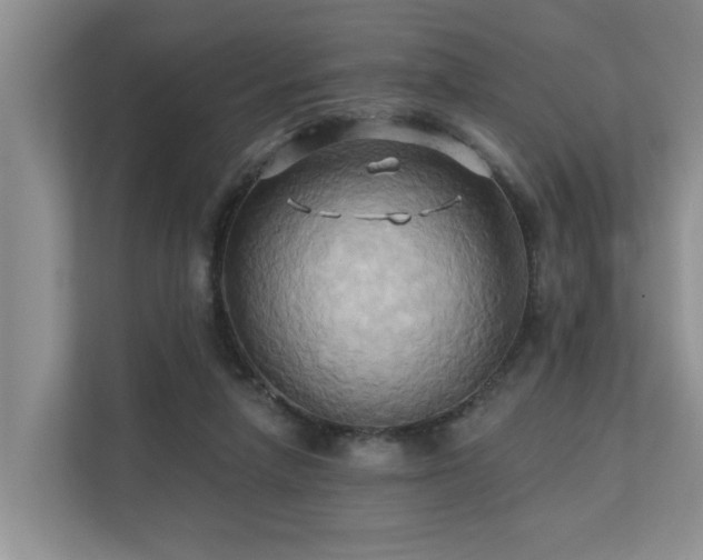 X0000110680258200906121212