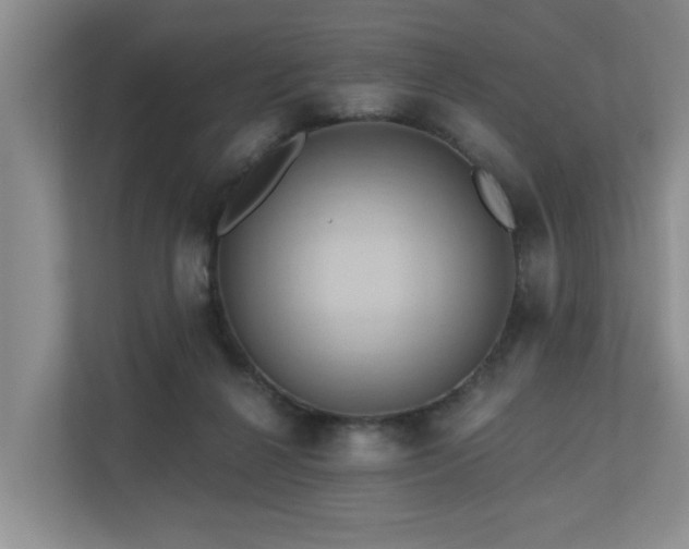 X0000110680264200906121212