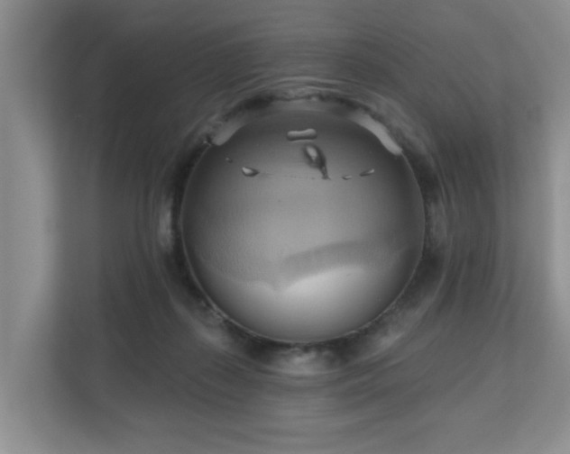 X0000110680267200906121212