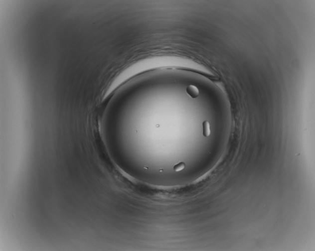 X0000110680272200906121212
