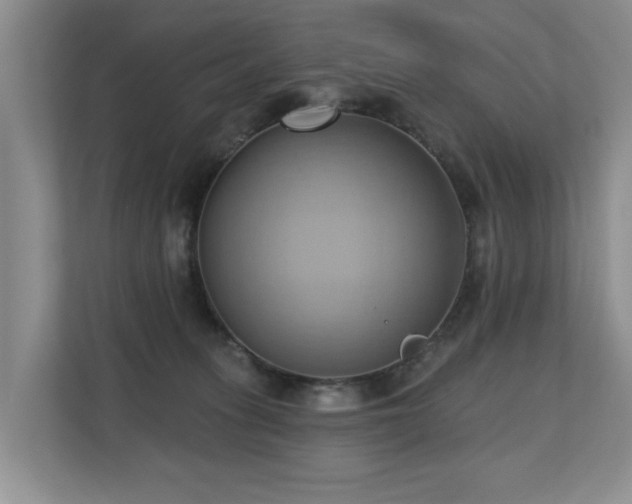 X0000110680275200906121212