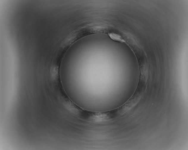 X0000110680278200906121212