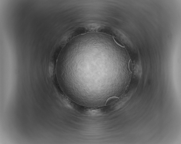 X0000110680283200906121212