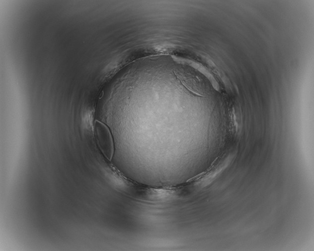 X0000110680286200906121212